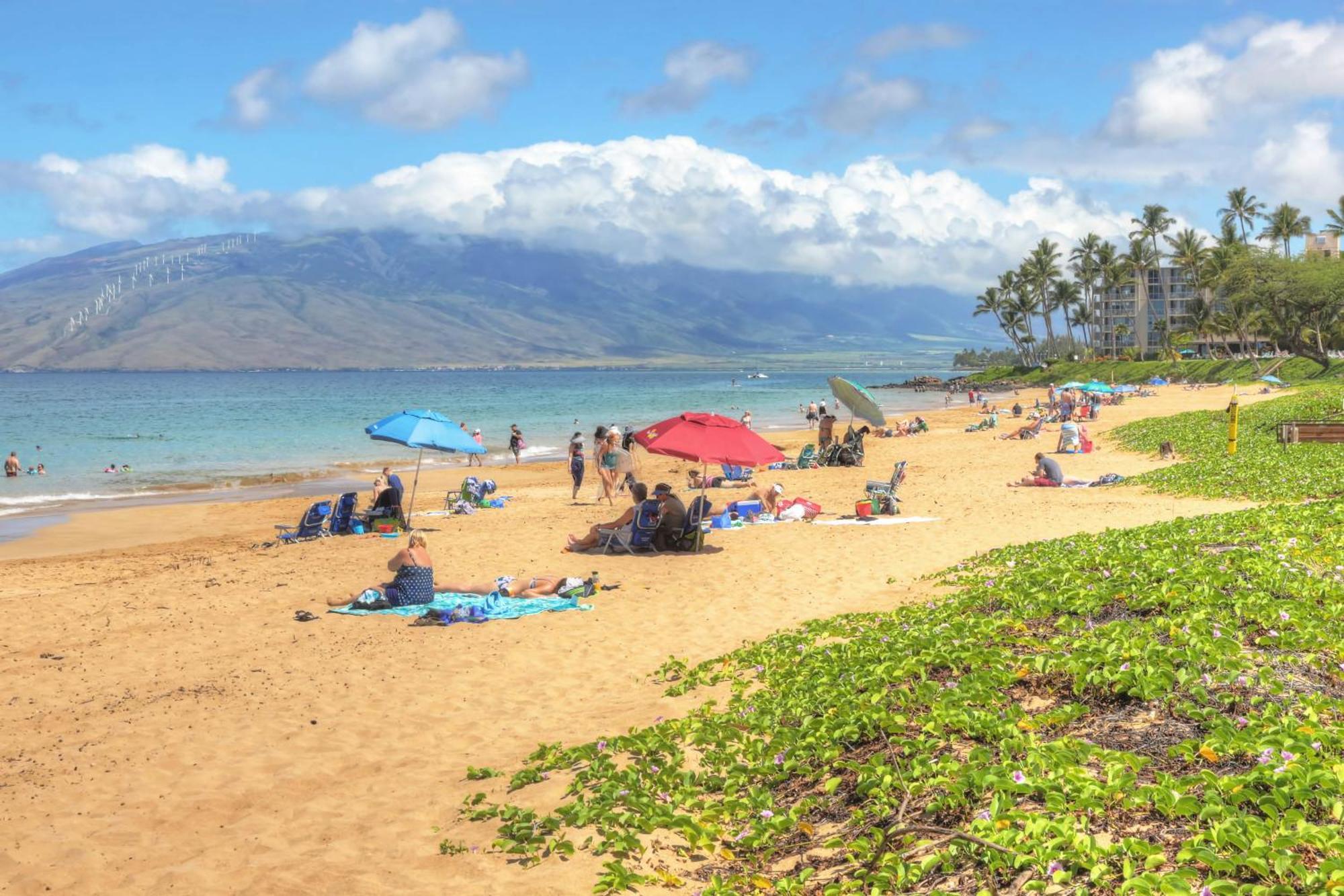 와일레아마우이 Maui Banyan 빌라 객실 사진